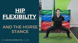 The horse stance and hip flexibility | The MSK Physio