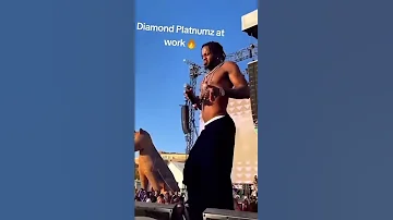 Diamond Platinumz The LION Yope Wasafi Shortvideo Simba Dance 