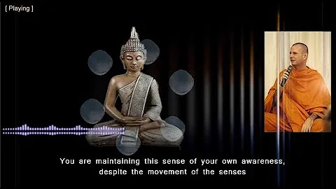 Mindfulness as the real monks do it - dharma talk ...
