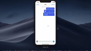 Ditto Chat with Audio New Features