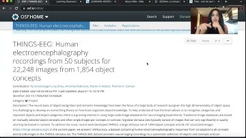 THINGS-EEG dataset neuroimaging recordings