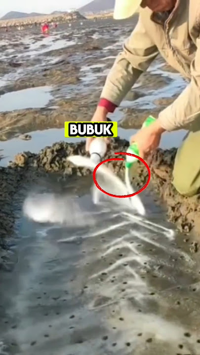 This man sprinkled salt on the sand and this is what happened #viralvideo #sand