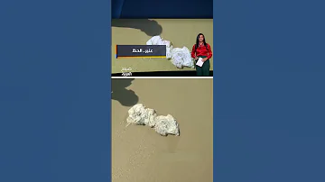 شاب يمني يعثر على عنبر حوت نادر يساوي وزنه ذهب ا 