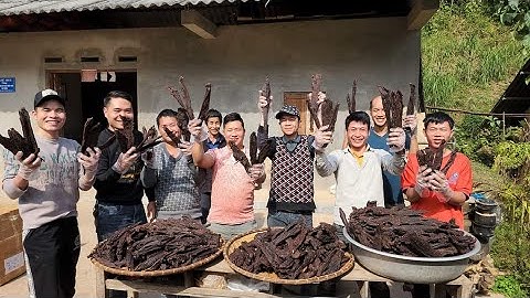 Páo Hói lò đã nóng cùng Dàn Diễn viên điện tử hạ hỏa ăn Tết. Nguyễn Tất Thắng