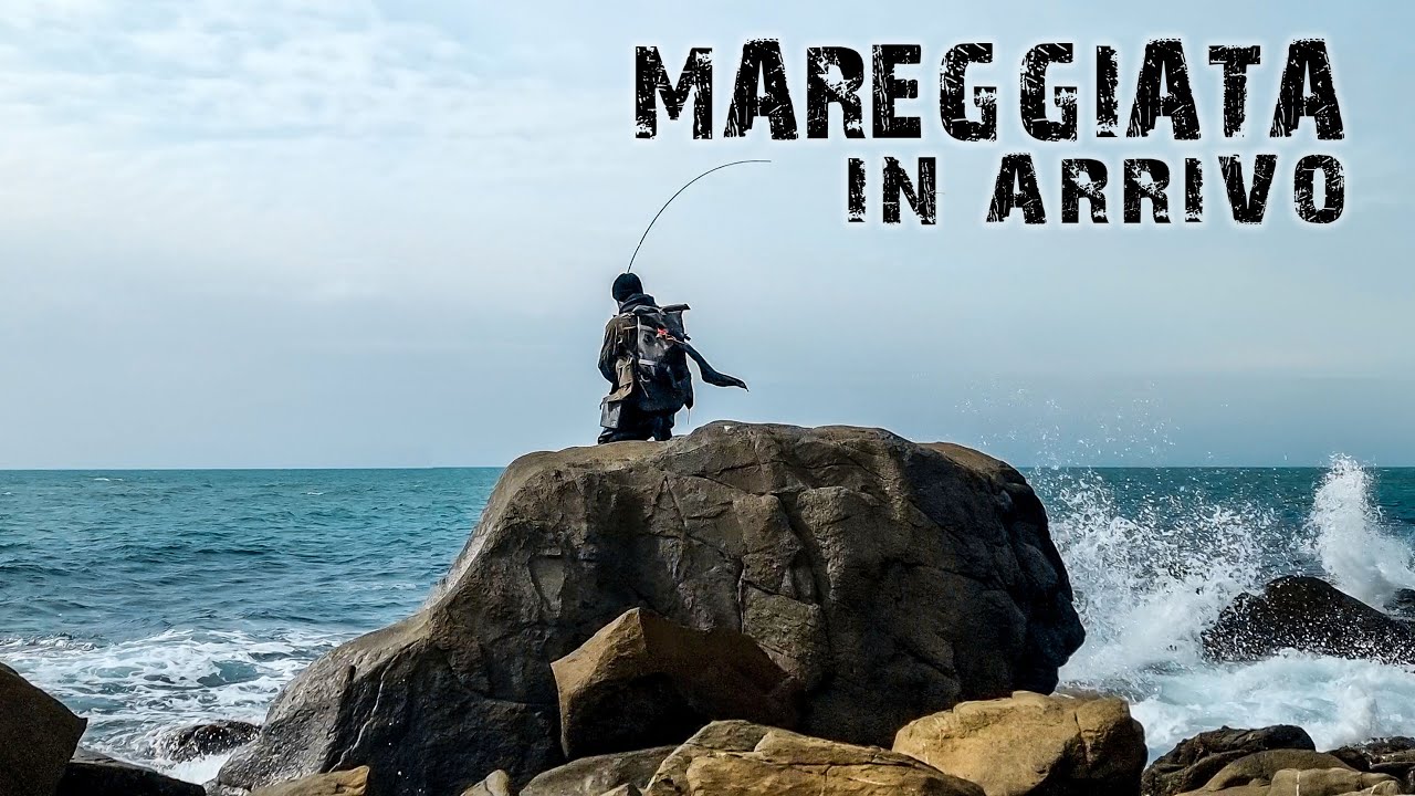Una MAREGGIATA lampo in fase di LEVATA - ft. Daiwa Ballistic HD