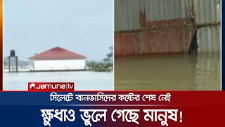 ভেঙে গেছে ঘরবাড়ি, খোঁজ মিলছে না গবাদিপশুর! | Sylhet Flood