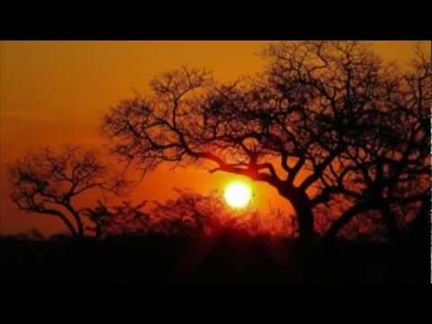 ISMAEL LO - AFRICA