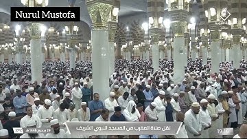تلاوة سورة سبأ 22 - 28 فضيلة الشيخ د. عبدالمحسين القاسم من صلاة المغرب ٢٩ محرم ١٤٤٦ هـ
