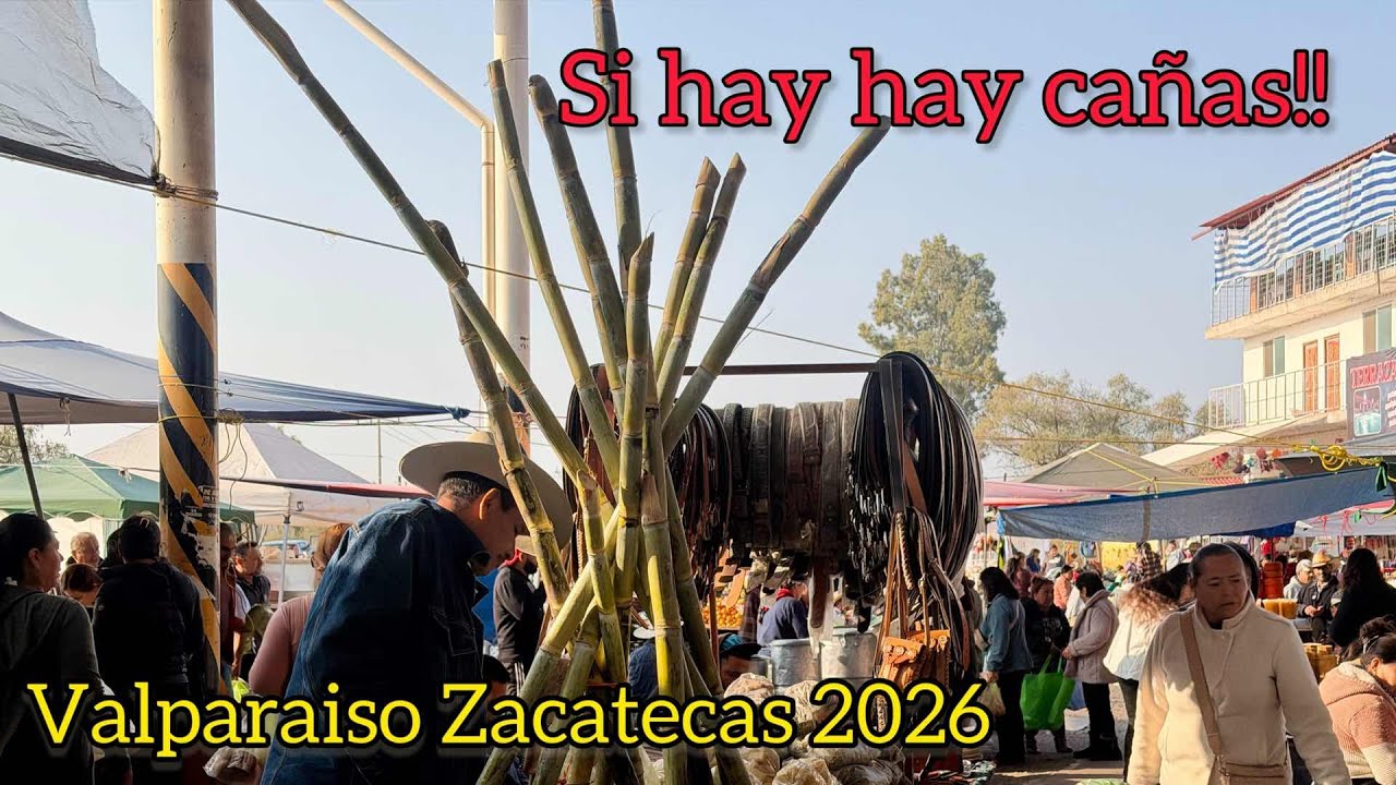 Pásele SI HAY CAÑAS en el tianguis de Valparaíso Zacatecas 2026 | Domingo 22 de Febrero