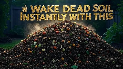 🌱 Struggling with Poor Soil? Try This EASY Fix to Wake Soil Microbes