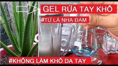 Cách pha gel rửa tay khô diệt khuẩn từ lá nha đam | How to make a dry hand gel from aloe vera