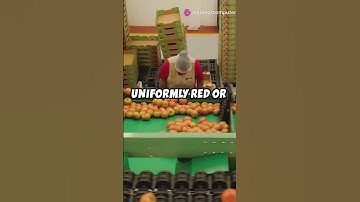 Revolutionary AI Model for Fruit Quality sciencefather #researchawards #computervision #techforgood