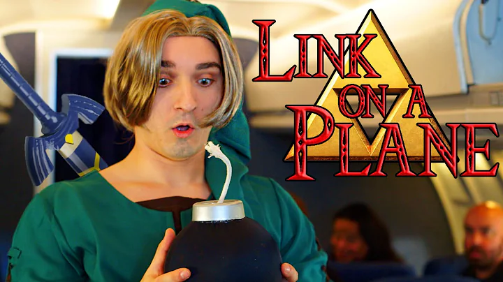 ZELDA - LINK ON A PLANE