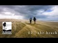 Te Araroa | 02 |  the beach