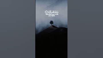 أَلَمۡ نَشۡرَحۡ لَكَ صَدۡرَكَ ١۝ | سورة الشرح | ابو بكر الشاطري | تلاوة جميلة