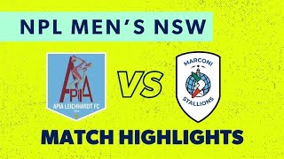 Download Lagu 2025 NPL Men's NSW Preliminary Final Highlights – APIA Leichhardt FC v Marconi Stallions MP3 Download Lagu 2025 NPL Men's NSW Preliminary Final Highlights – APIA Leichhardt FC v Marconi Stallions MP3