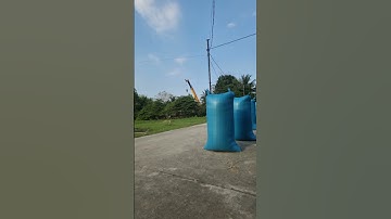 #giaitri #tamtrang #giaitrivui #shortvideo #music #videos #birds #subscribe #shortvideo #videos