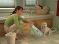 Dog pee in house?? Dog pee in house??