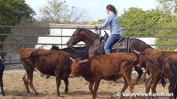 Summersweet - working cows and the flag! - ValleyViewRanch.net