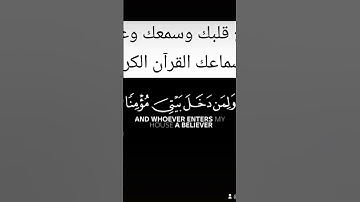 رسائل من القرآن الكريم... تلاوات من القرآن.