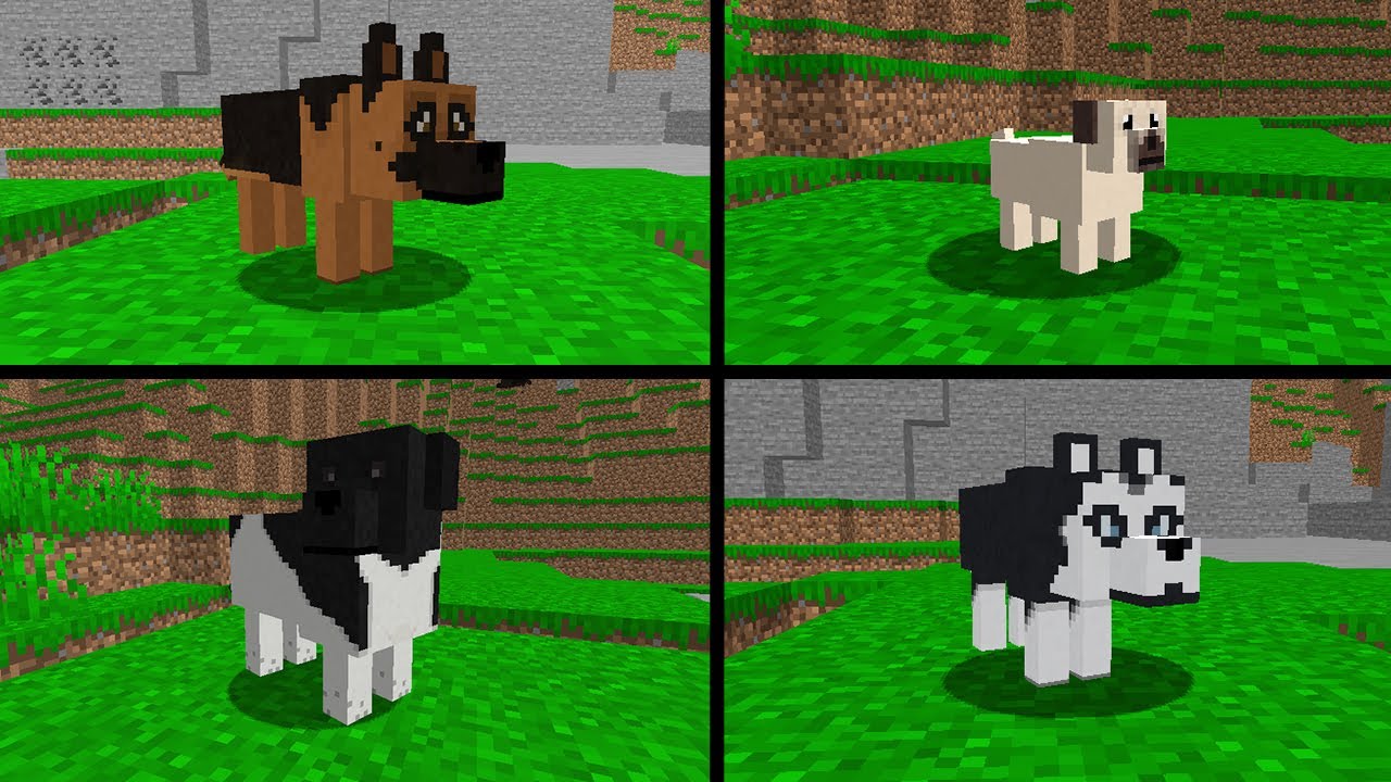Minecraft Kopek Kulubesi Modu Mp3 Indir