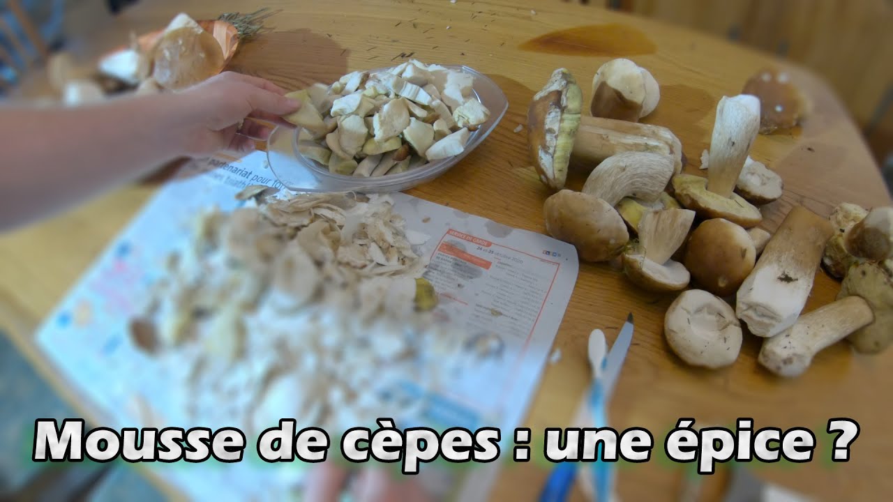 Que faire avec la mousse de cepes de Bordeaux