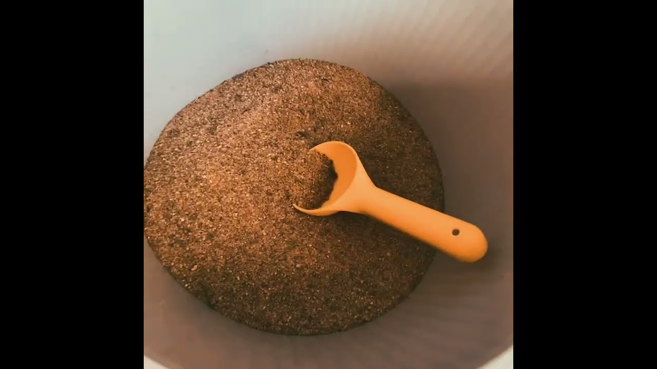 Keppari tallinesittely😍 uus talli❤️