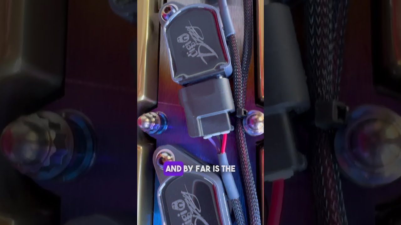 This Killer Looking Digital Distributor