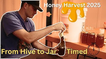 How Quickly Can I Bottle Honey? | Honey Harvest 2025 | Part 2: Bottling