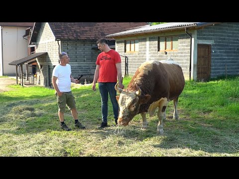 KO JE MLADI JOZUN IZ BUSOVAČE KOJI PRAVI NAJPOSJEĆENIJE KORIDE U BOSNI