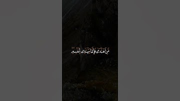 تلاوة جميلة من سورة الإسراء القارئ محسن الدوسري