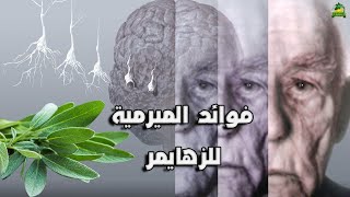 الميرمية لعلاج #آلزهايمر