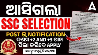 SSC Selection Post Phase 13 Notification 2025 | Short Notice | ଦଶମ +2 AND +3 ପାସ ପିଲା କରିବେ APPLY ?