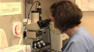 Intrauterine Insemination - Iui - Via Hrc Fertility - Pasadena