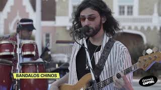 Video thumbnail of "Bandalos Chinos - Vámonos De Viaje En Vivo Festival Capital 2020"