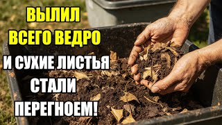 видео: СУХИЕ ЛИСТЬЯ — НЕ МУСОР! Я ВЫЛИЛ ВСЕГО ВЕДРО, И ОНИ ПРЕВРАТИЛИСЬ В ЧЁРНОЕ ЗОЛОТО ДЛЯ ГРЯДОК! картинка: СУХИЕ ЛИСТЬЯ — НЕ МУСОР! Я ВЫЛИЛ ВСЕГО ВЕДРО, И ОНИ ПРЕВРАТИЛИСЬ В ЧЁРНОЕ ЗОЛОТО ДЛЯ ГРЯДОК!