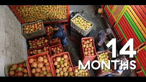 Caleb Harper - Director, OpenAG at MIT Media Lab | Near Future Summit