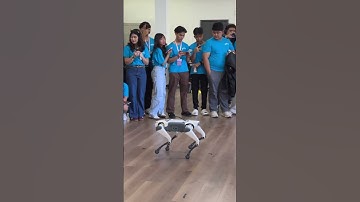 I Controlled a Robot Dog at Zhejiang University! 🤖🐕#robot #university #study #tour