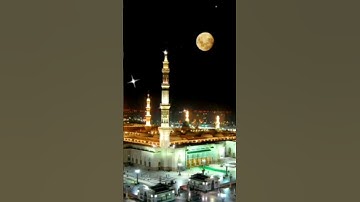 تلاوة اسطورية للشيخ محمد السايح #القرآن_الكريم #كنوز_القرآن