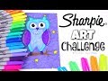 The SHARPIE CHALLENGE : Marker Art Without Erasing