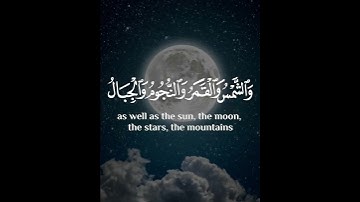 الم تر ان الله يسجد له || سوره الحج || #ياسر_الدوسري #قرآن #اكسبلور #تلاوات