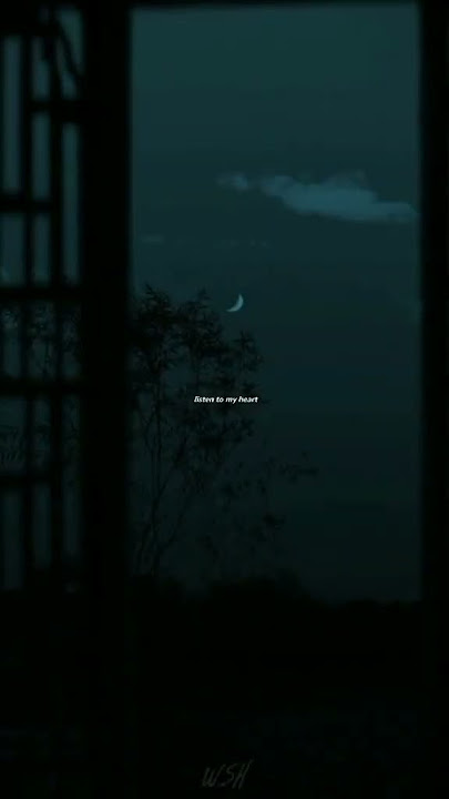 Story Wa/ lirik lagu 30 detik