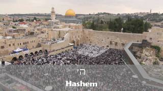 Birkat Kohanim (Priestly Blessing) at the Kotel in Jerusalem 5771 (2011)