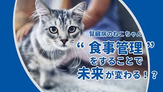 ”食事管理”をすることで未来が変わる！？