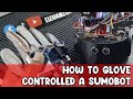 GLOVE Controlled SUMOBOT Using FLEX and MPU6050