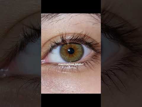 Şövkət Ələkbərova Bahar Sənsiz