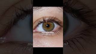 Şövkət Ələkbərova - Bahar Sənsiz