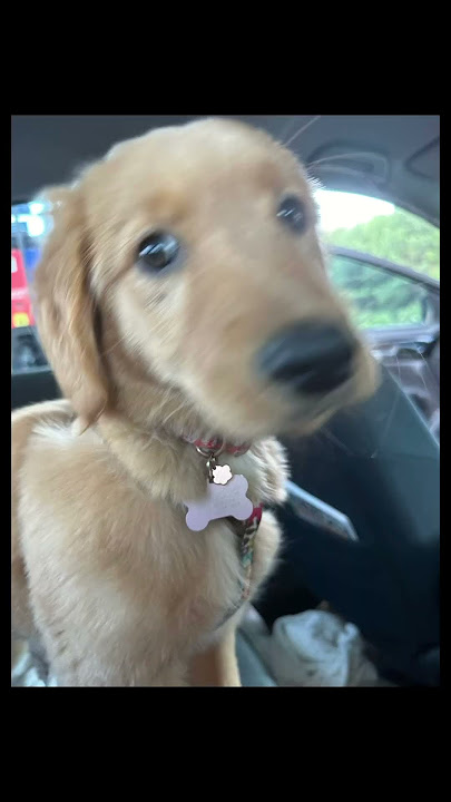 My happy Ruthie Jean
