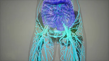 ¿Qué significa tener un nódulo en el pulmón izquierdo?