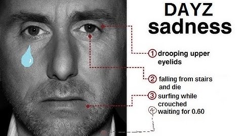 Sadness in Dayz. (0.60 where are you ?)